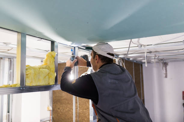 Best Insulation Replacement Services  in Nroe City, MO