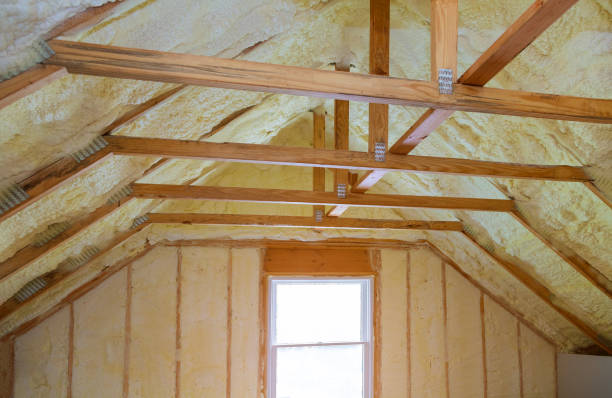 Best Spray Foam Insulation  in Nroe City, MO