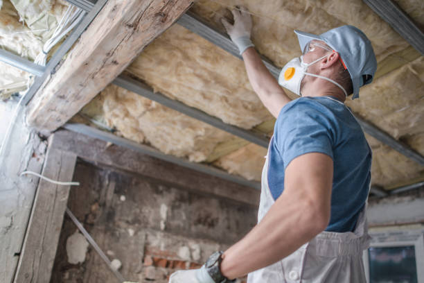 Best Insulation Installation Cost  in Nroe City, MO