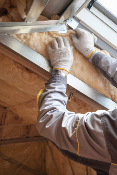 Best Wall Insulation Contractor  in Nroe City, MO