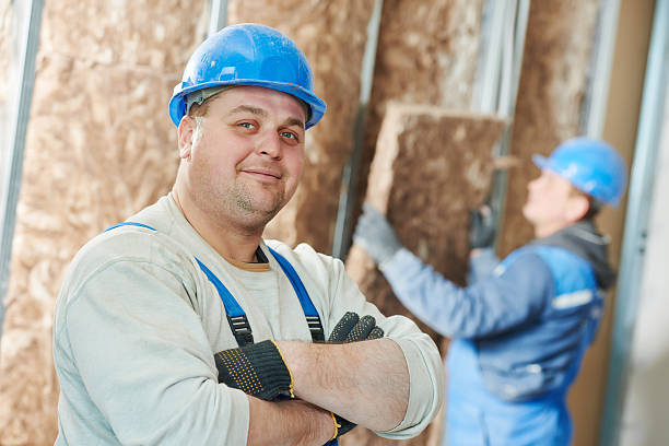 Best Local Insulation Services  in Nroe City, MO