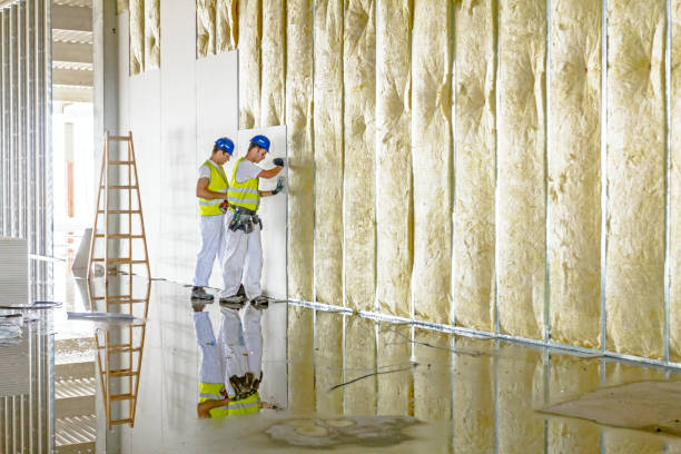 Best Insulation Repair Services  in Nroe City, MO